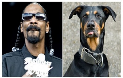 Snoop Dogg and the Doberman Pinscher