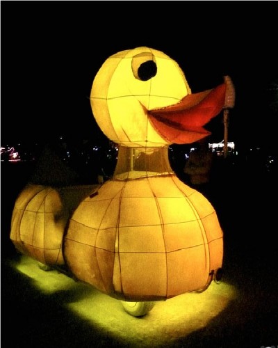 The duck