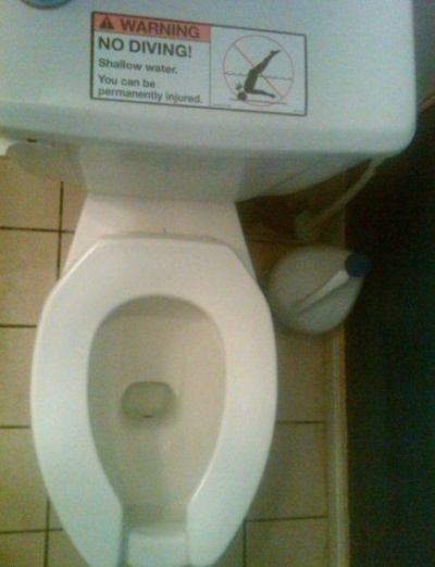 Never Dive into Your Toilet Seat