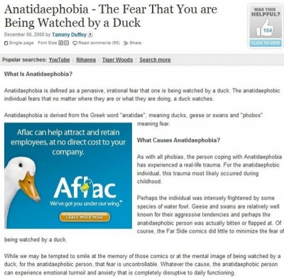 Have You Heard About Anatidaephobia Before?