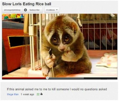 Cute Overload