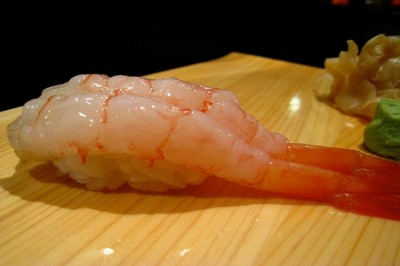 Amaebi