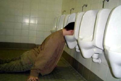 Your Head Is In The Toilet Most Of The Day