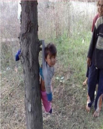 Baby Hangs from a Tree