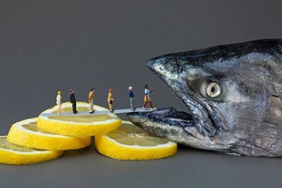 Enter the fish of doom!!