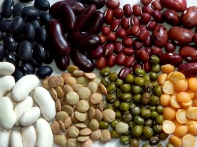 Legumes