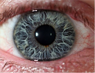 Windows to the Soul