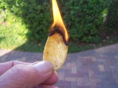 Corn chips for fire