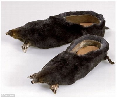 Moles