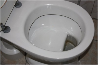 German Toilets