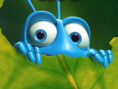 Bug eating