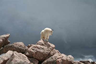 So, erm how do I get down?