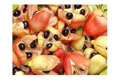 Ackee