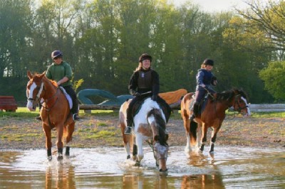 Keep Active with Horse Riding