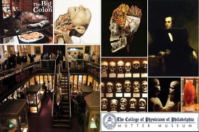 The Mutter Museum