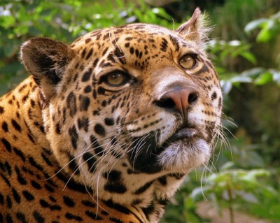 Edinburgh Zoo