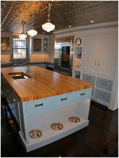 Kitchen Dog Bowls