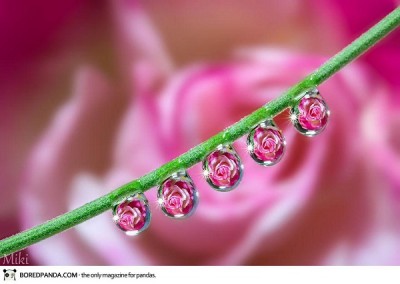 Perfection and Symmetry
