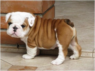 Tiny, but wrinkly