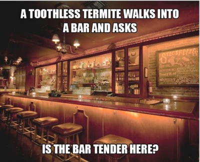 Is the Bar Tender Here?