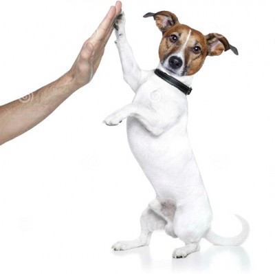 High Five