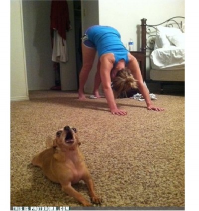 'One, two, three and stretch! Oh wrong way?