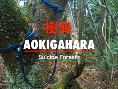 Aokigahara