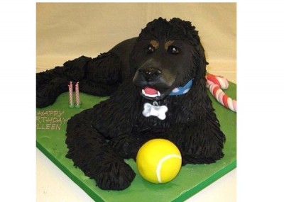 Playful Dog