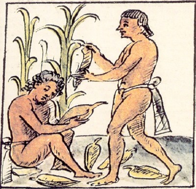 The Used Human Power For Agriculture