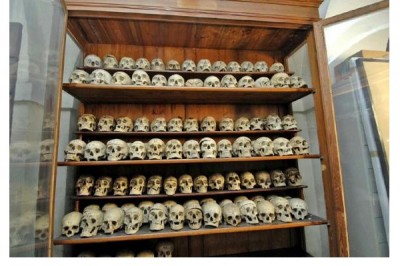 Museum of Anthropology