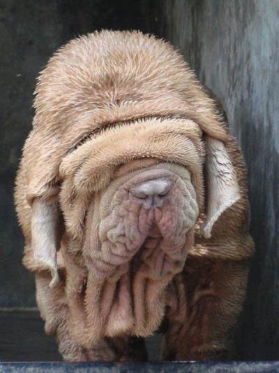 Big long wrinkles