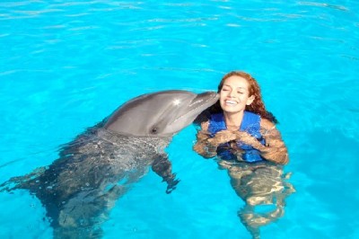 Swim With Dolphins