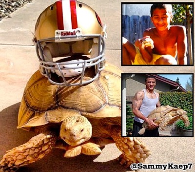 Sammy The Giant Tortoise