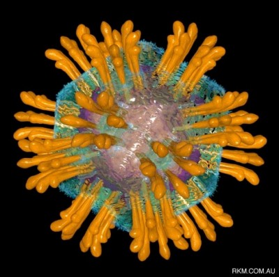 Hepatitis C