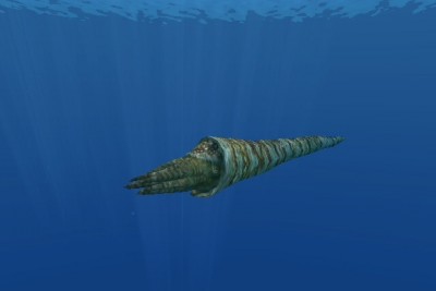 Cameroceras