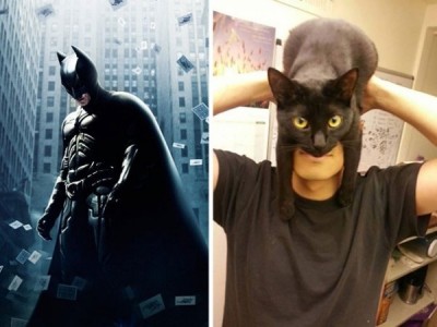 Catman?