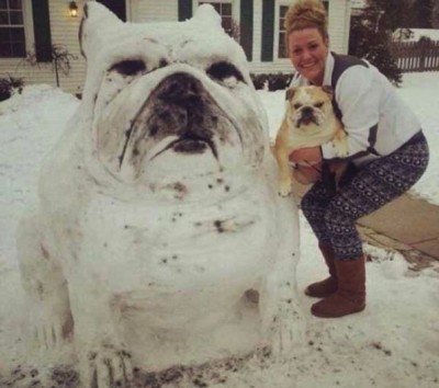Giant snowdog