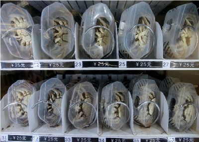 Vending machine crabs