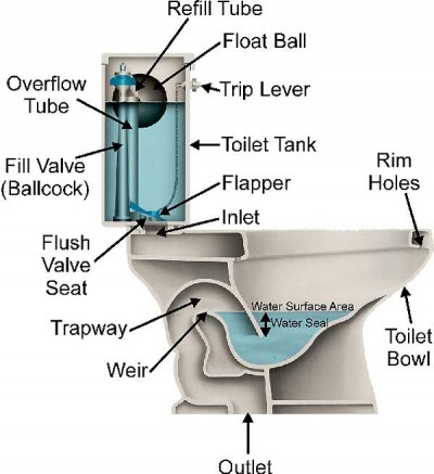 Unblocking a toilet