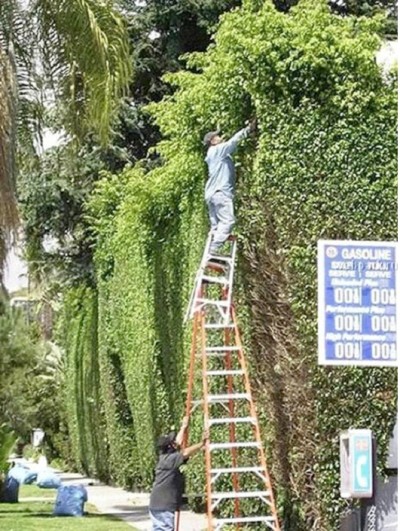 Double Ladder