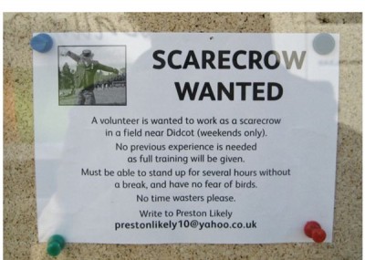 Scarecrow Job Ad