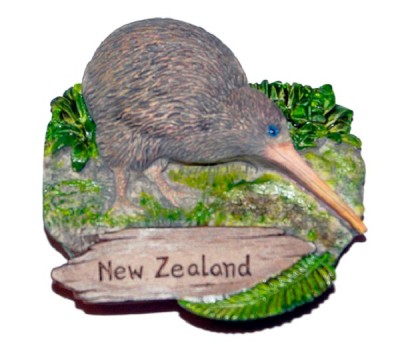 Kiwi Bird
