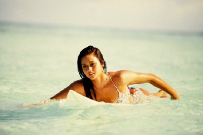 Surfs Up