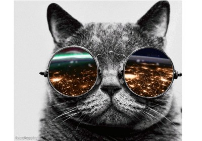 If 1 million people join my cat will stop smoking meth