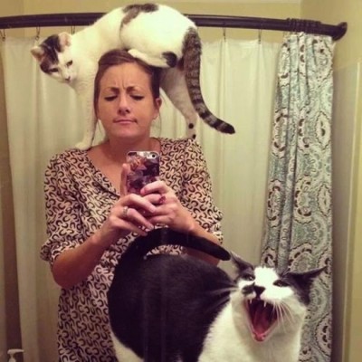 Put the animals away