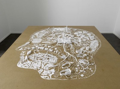 Complex head