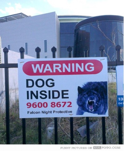 Dog Inside