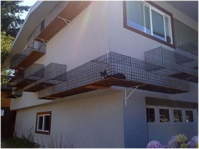 Outdoor Catwalk