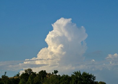 Cumulus Congestus