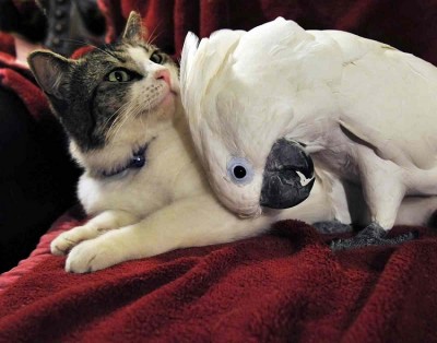 Best of friends rather than enemies